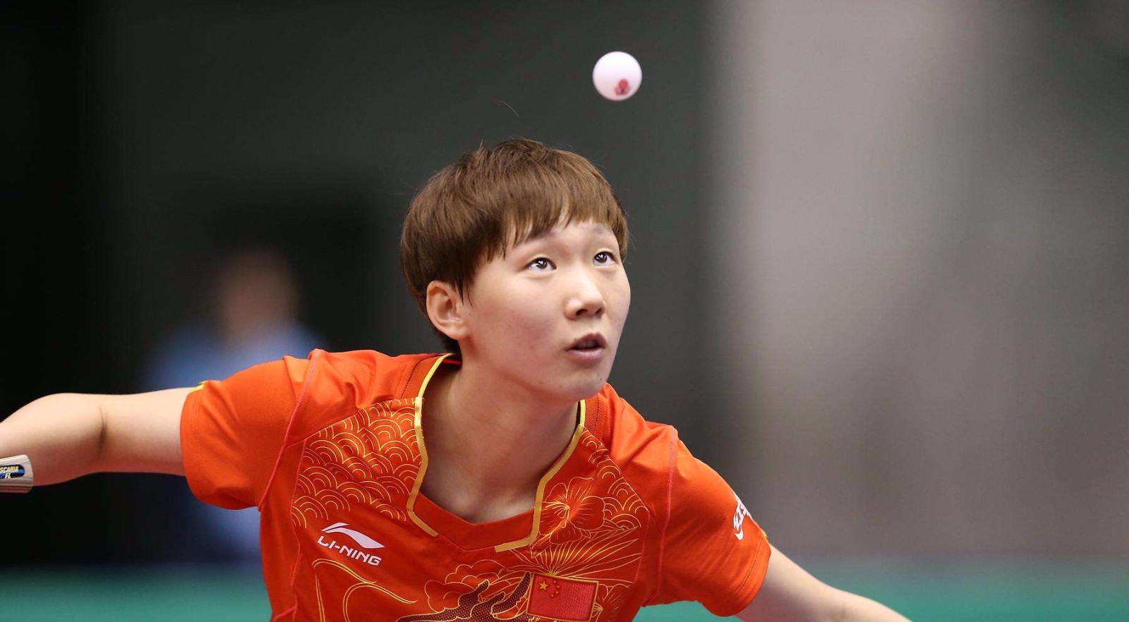 本次亚冬会 本次亚冬会